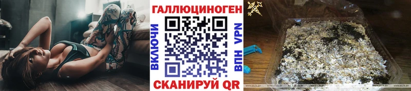 Галлюциногенные грибы Psilocybe  хочу   Куровское 