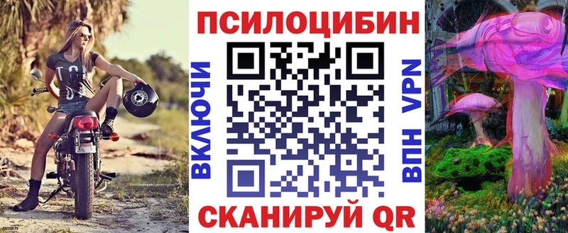 Псилоцибиновые грибы Psilocybe Куровское