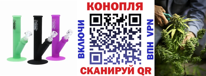 Конопля индика  Куровское 